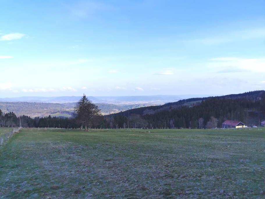 La Magie Entre Deux Lacs Gérardmer Exteriör bild