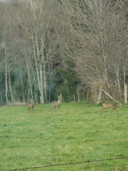 La Magie Entre Deux Lacs Gérardmer Exteriör bild