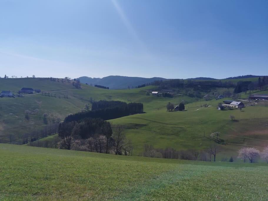 La Magie Entre Deux Lacs Gérardmer Exteriör bild