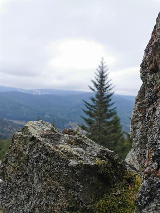 La Magie Entre Deux Lacs Gérardmer Exteriör bild